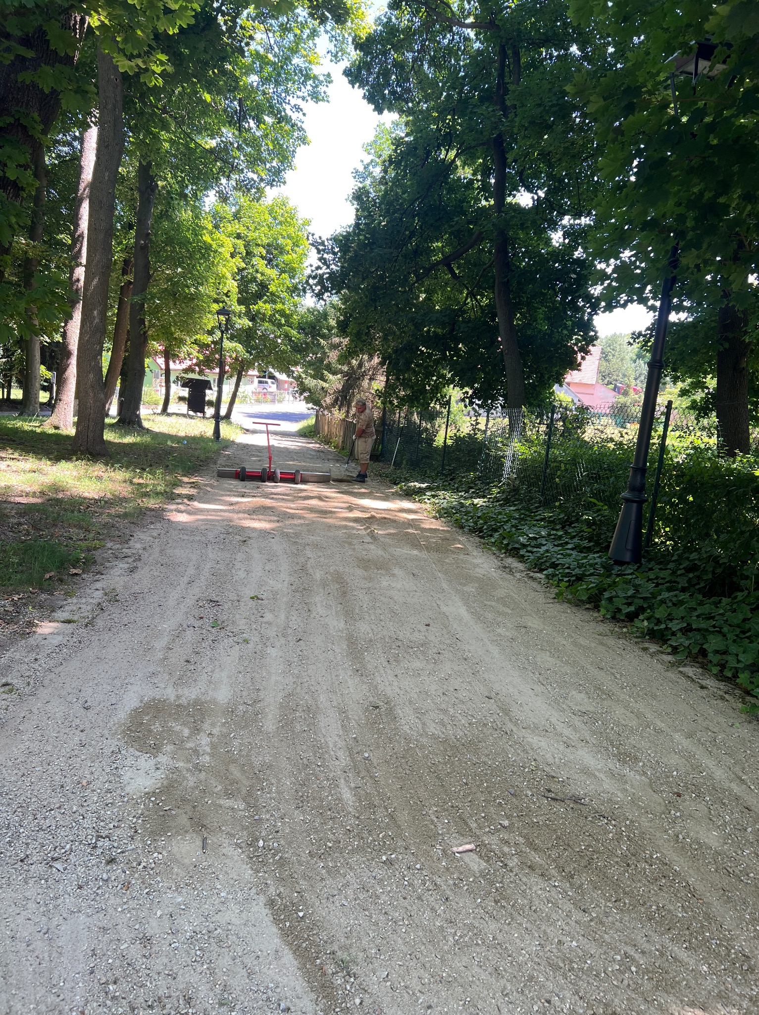 Utwardzona droga gruntowa w parku, pracownik wyrównuje nawierzchnię za pomocą walca. W tle drzewa i zabudowania.