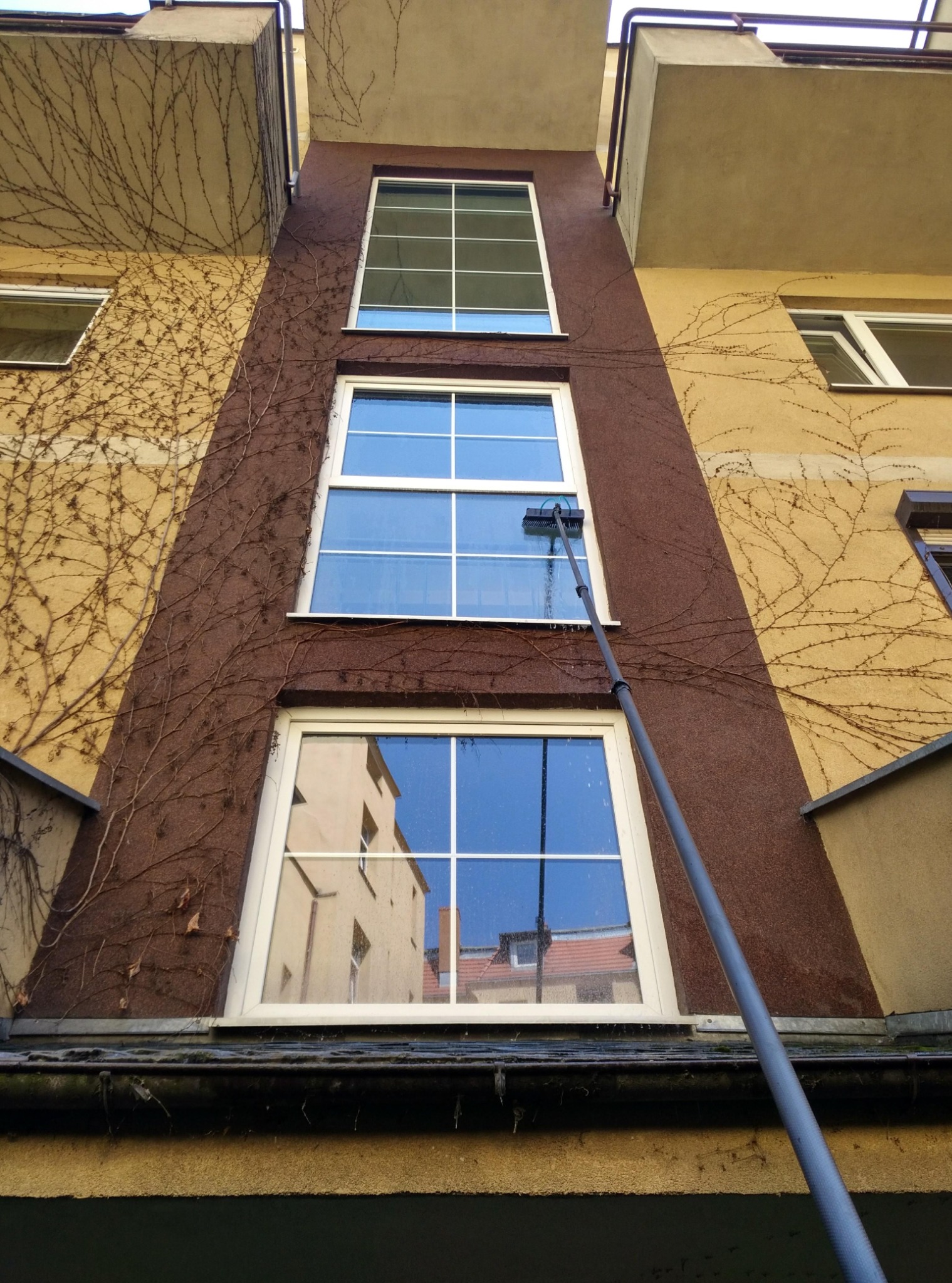 Wysokie okna w kamienicy myte teleskopową szczotką z dołu. Na elewacji widoczne pnącza. W oknach odbija się budynek po przeciwnej stronie ulicy.