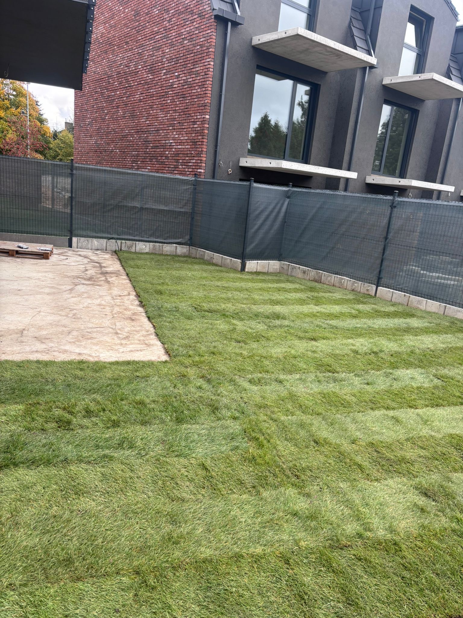 Układanie trawy z rolki w ogrodzie miejskim; widoczna granica trawnika i betonowej powierzchni, nowoczesna architektura domu w tle.