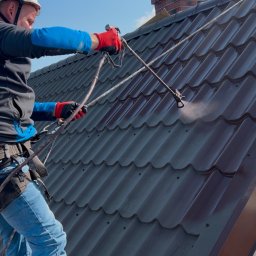 Malowanie dachów Polska Cerekiew 3