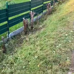 Układanie kostki brukowej Ryn 1