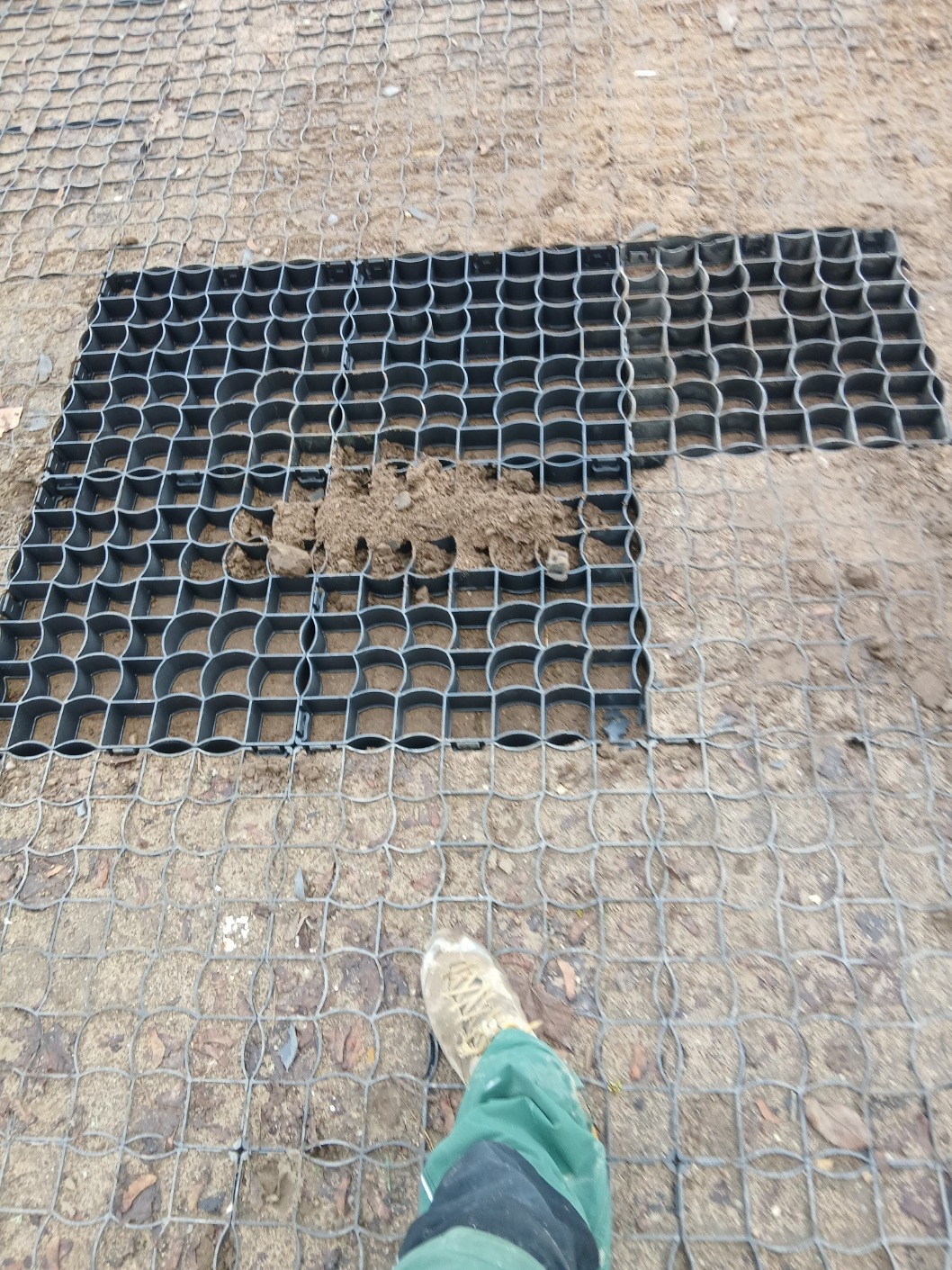 Układanie plastikowej kratki trawnikowej na ziemi, częściowo wypełnionej ziemią, widoczna noga w roboczym ubraniu. Montaż nawierzchni przepuszczalnej.