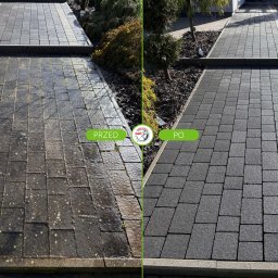 GeKon Grzegorz Konopka - Kostka brukowa: lewa strona, zabrudzona mchem i wilgotna, prawa strona czysta i sucha. Porównanie efektu przed i po czyszczeniu na ścieżce w ogrodzie.