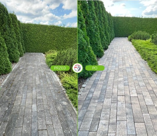 Kostka brukowa przed i po czyszczeniu, widok na ścieżkę w ogrodzie z zielonym żywopłotem. Po lewej stronie kostka zabrudzona, po prawej czysta.