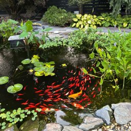 Wycinka drzew Łukawiec 2