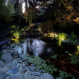 Wycinka drzew Łukawiec 4