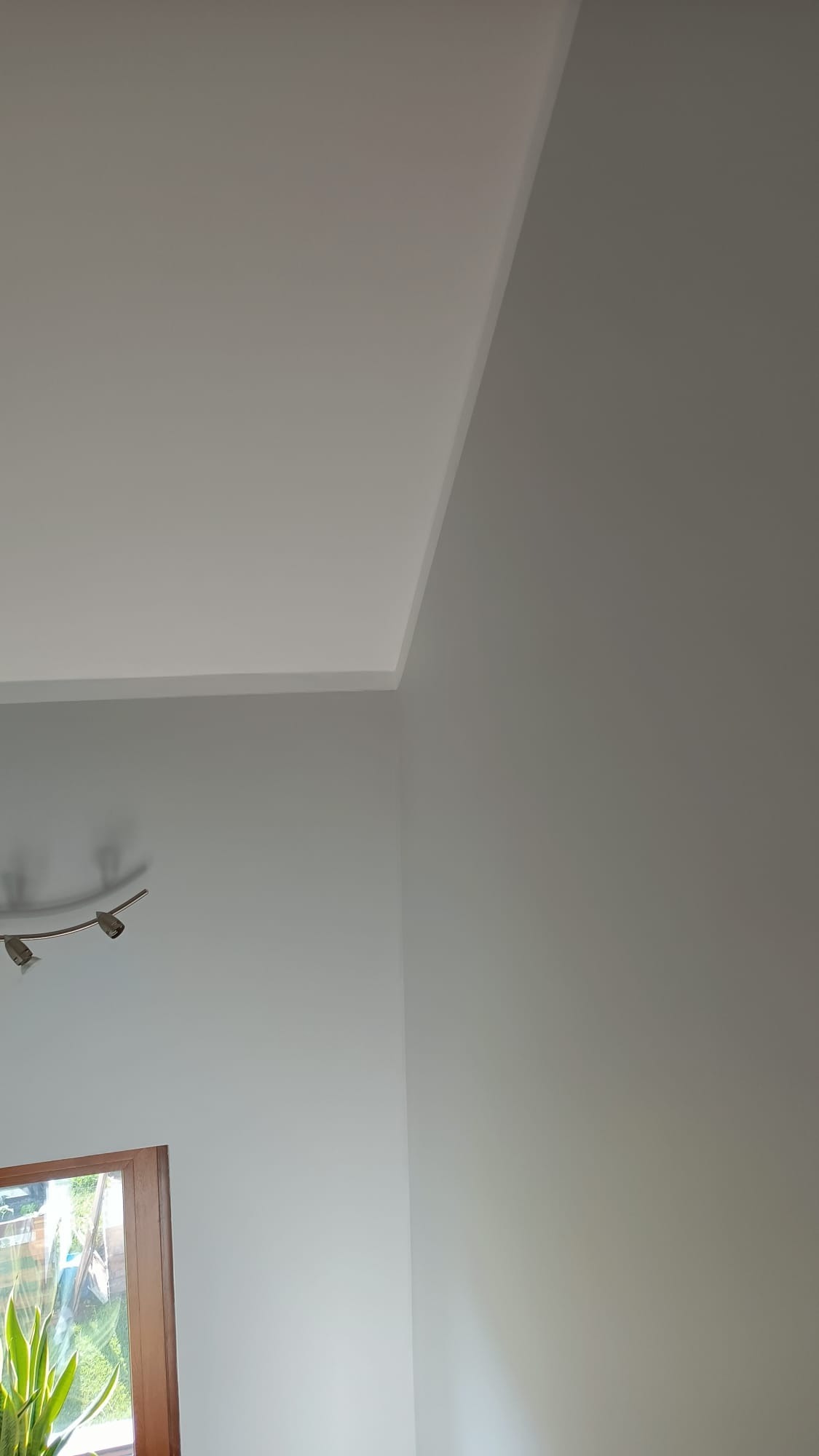Świeżo pomalowane, jasne ściany w rogu pokoju, widok z dołu, z listwą przysufitową i fragmentem okna z rośliną w tle. Gładkie wykończenie.