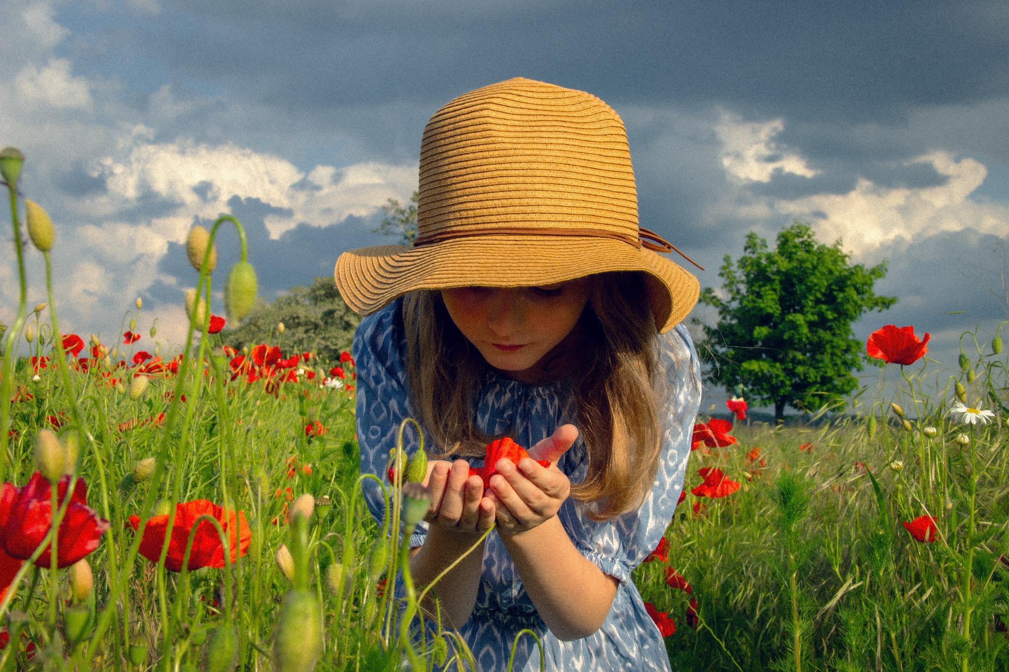 Dziewczynka w słomkowym kapeluszu, na łące maków, trzyma w dłoniach czerwony kwiat. Ubrana w niebieską sukienkę w białe wzory. W tle pochmurne niebo i zieleń.