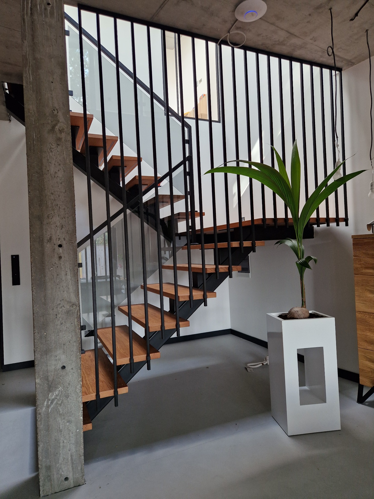 Nowoczesne schody drewniane z czarną metalową balustradą i szklanymi panelami, oświetlone naturalnym światłem, z rośliną doniczkową u podnóża. Minimalistyczny design.