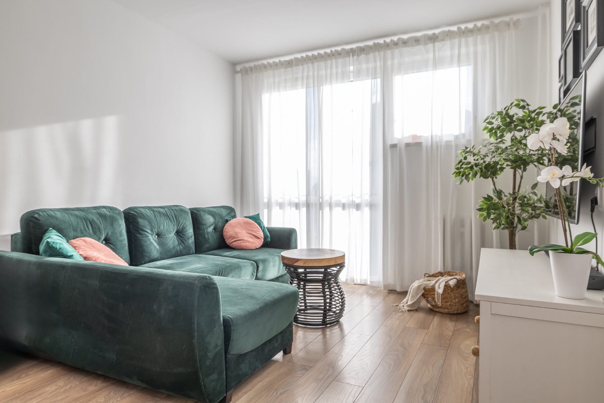 Stylowy salon z zieloną sofą narożną, okrągłymi poduszkami i drewnianym stolikiem. Jasne wnętrze z parkietem i białymi zasłonami, roślina w doniczce.