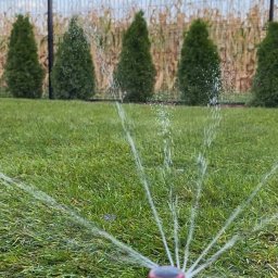 Zakładanie ogrodów Wrocław 2