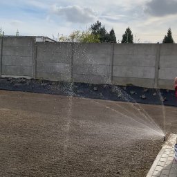 Dizbud - Nawadnianie przygotowanego terenu pod trawnik z rolki za pomocą zraszaczy. W tle widoczny betonowy płot i fragment uprawianej ziemi.