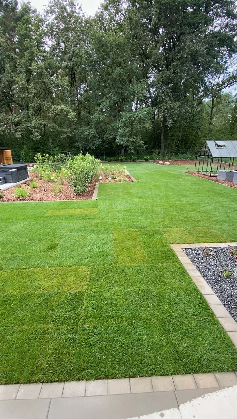 Zadbany trawnik z widocznymi fragmentami trawy z rolki, obrzeża z kostki, rabaty z korą i roślinami, szklarnia w tle. Widok na ogród.