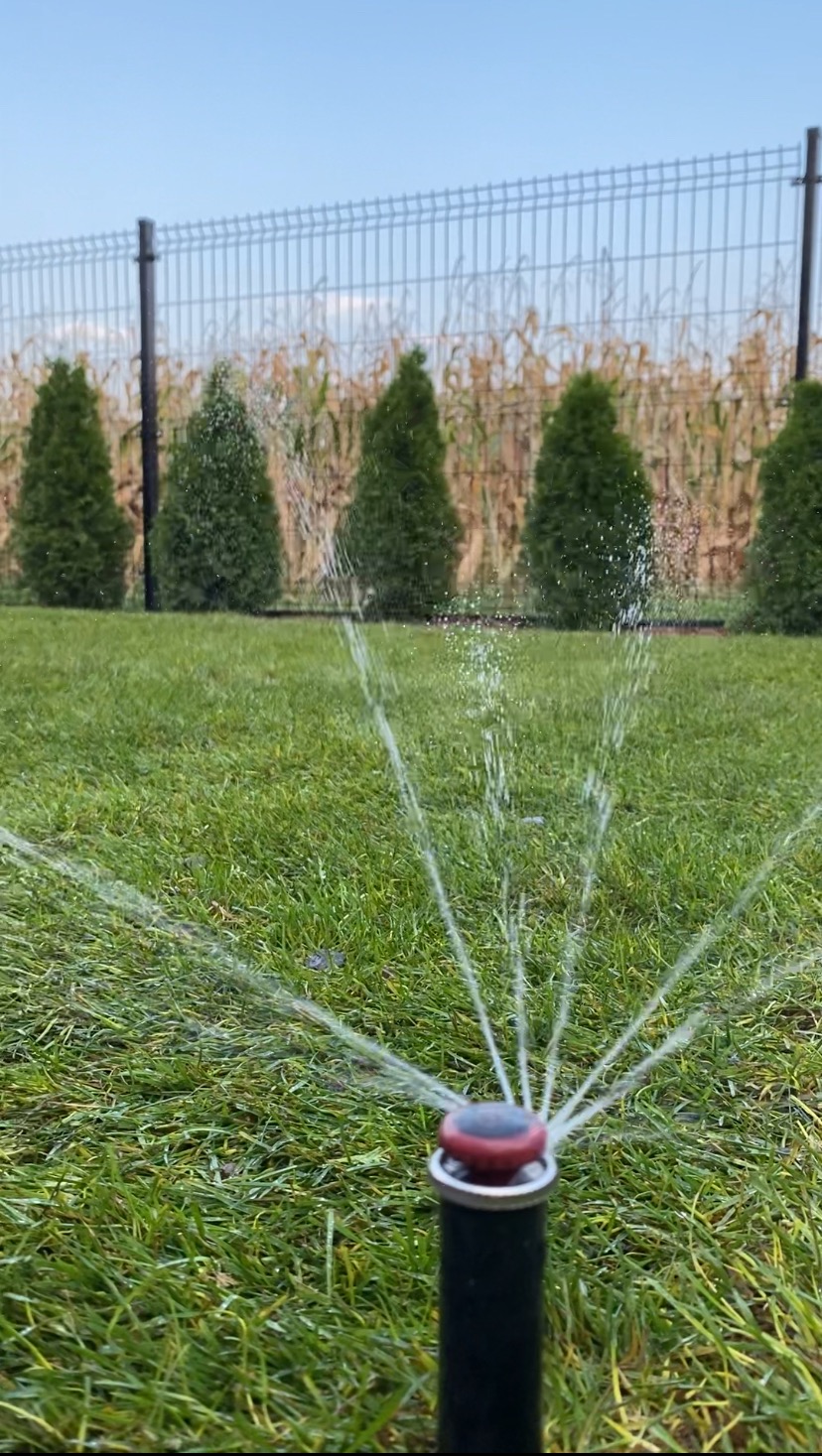 Działający zraszacz rotacyjny nawadnia soczyście zielony trawnik. W tle rząd tuj i metalowe ogrodzenie.