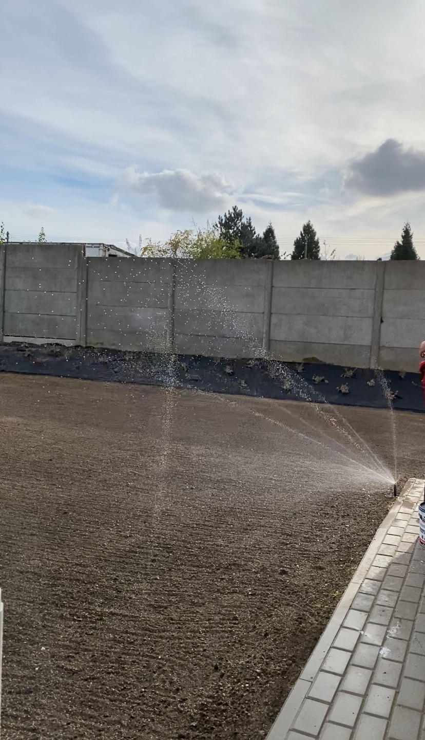 Nawadnianie przygotowanego terenu pod trawnik z rolki za pomocą zraszaczy. W tle widoczny betonowy płot i fragment uprawianej ziemi.