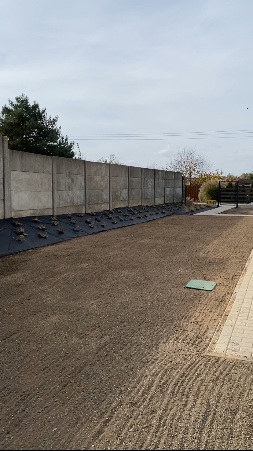 Przygotowany teren pod trawnik z widocznym systemem nawadniania i posadzonymi roślinami wzdłuż betonowego ogrodzenia, z delikatnymi śladami po bronowaniu.