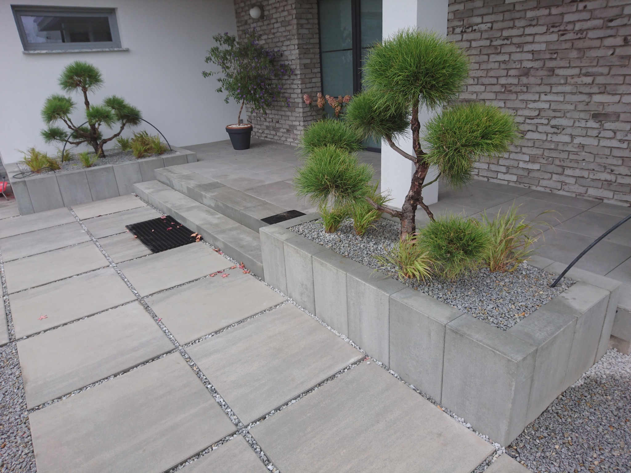 Nowoczesna aranżacja przestrzeni przed domem: szara kostka brukowa, betonowe donice z ozdobnymi drzewkami i kamieniami, minimalistyczny design.