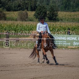 Kasia Krupa - Mężczyzna w kapeluszu i białej koszuli jeździ na brązowym koniu na piaszczystym terenie; w tle pole kukurydzy i baner z napisem 'Trening koni, nauka jazdy'.