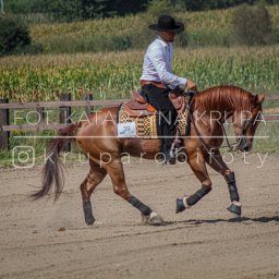 Kasia Krupa - Mężczyzna w kapeluszu na brązowym koniu podczas jazdy na piaszczystym terenie, w tle kukurydza i drewniane ogrodzenie. Ujęcie z boku, w ruchu.