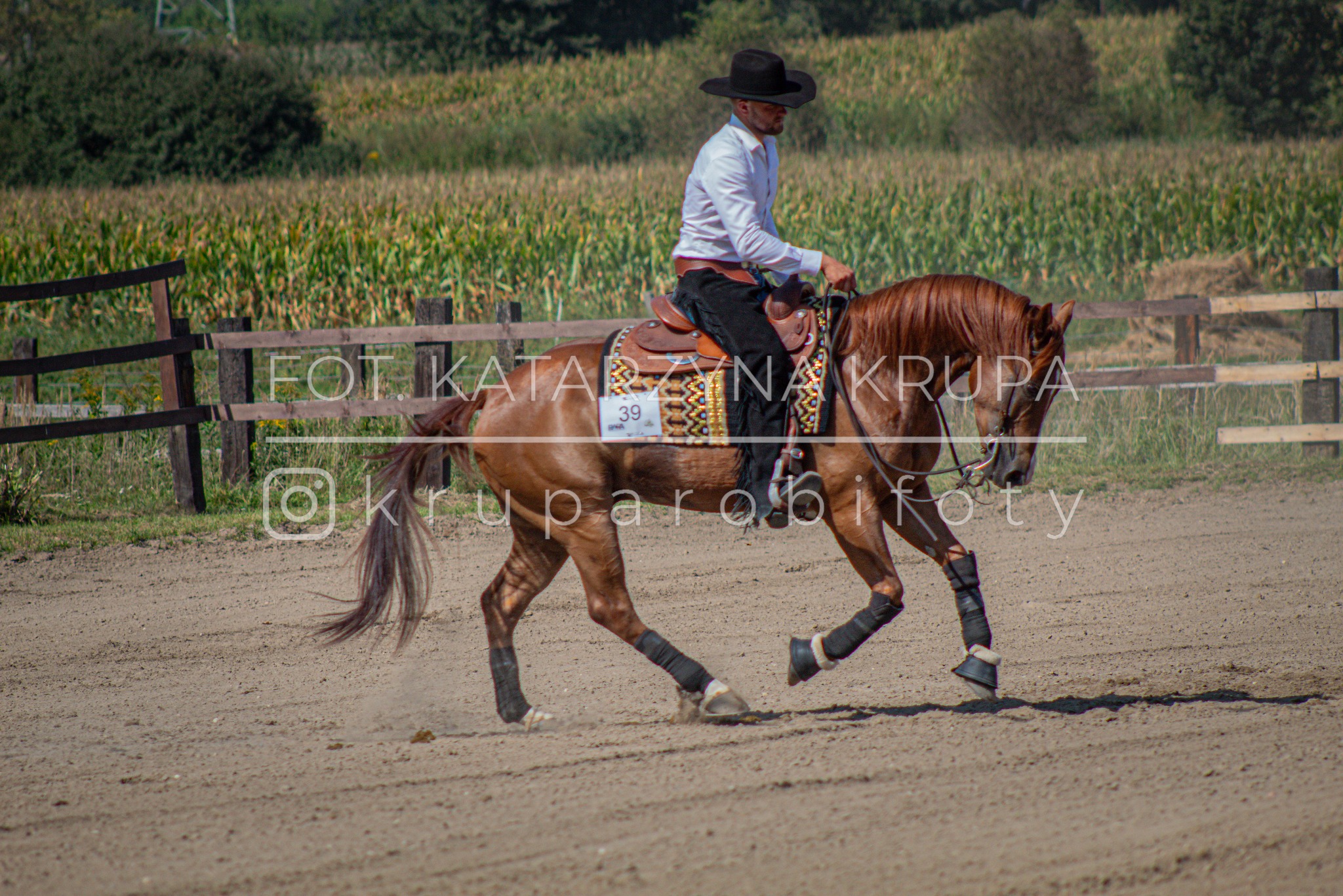 Mężczyzna w kapeluszu na brązowym koniu podczas jazdy na piaszczystym terenie, w tle kukurydza i drewniane ogrodzenie. Ujęcie z boku, w ruchu.