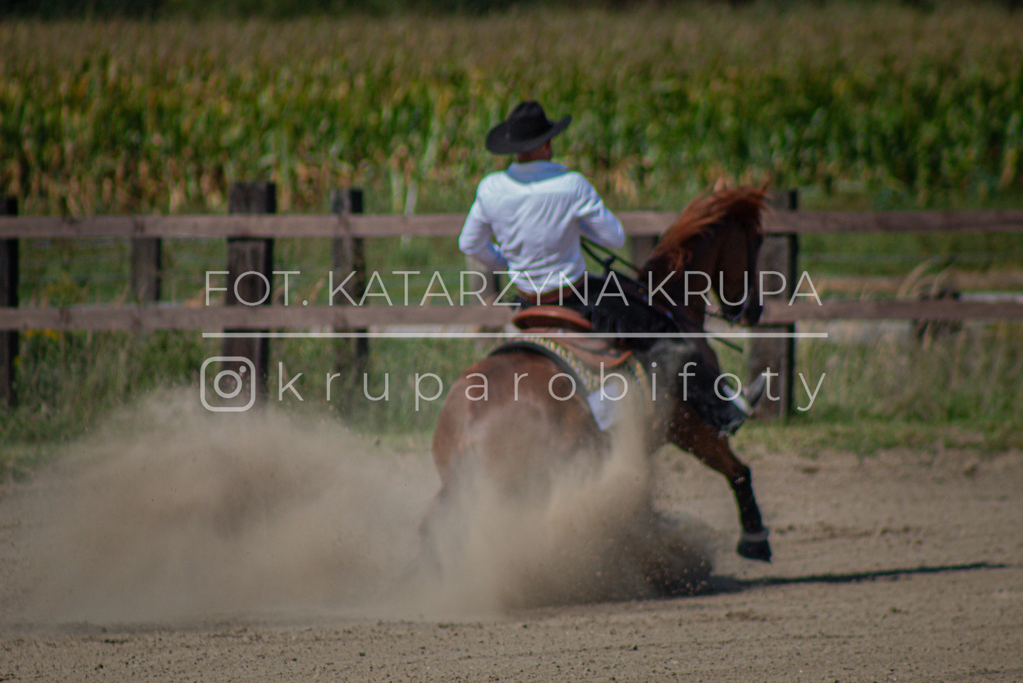 Kowboj w kapeluszu na brązowym koniu galopuje po piaszczystym terenie, unosząc tumany kurzu. W tle drewniany płot i zielona roślinność.