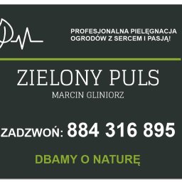 Zielony puls