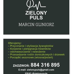 Przycinanie drzew Komprachcice 1