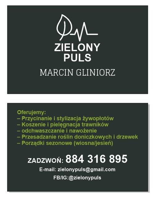 Wizytówka firmy ogrodniczej Zielony Puls. Oferta: przycinanie żywopłotów, koszenie trawników, przesadzanie roślin, porządki sezonowe. Kontakt: 884 316 895.
