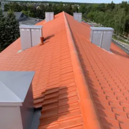 Czerwony dach z dachówki ceramicznej, widok z góry, z czterema kominami z szarej blachy. W tle drzewa i budynki.