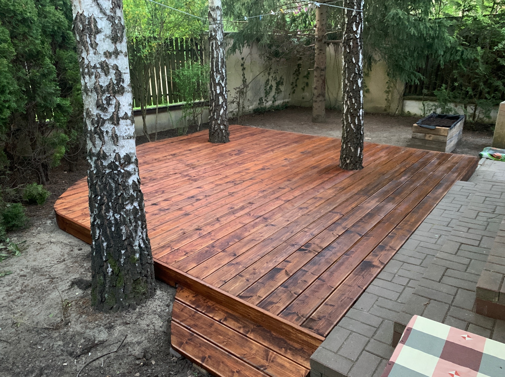 Drewniany taras z jasnego drewna otaczający trzy brzozy, z niskimi schodami i kostką brukową w tle, tworzący unikalną przestrzeń na świeżym powietrzu.