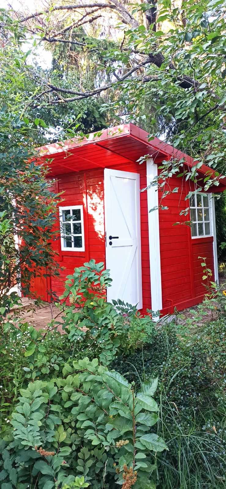 Czerwony domek narzędziowy z białymi oknami i otwartymi drzwiami, otoczony zielenią, w słoneczny dzień. Widoczne detale wykończenia i świeża farba.