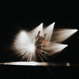 Kamerzysta Białogard 1