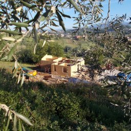 Ecohome24 sp. z o.o. - Wznoszenie konstrukcji parterowego domu na fundamencie, widok z góry przez gałęzie drzew. W tle zielony krajobraz z zabudowaniami.