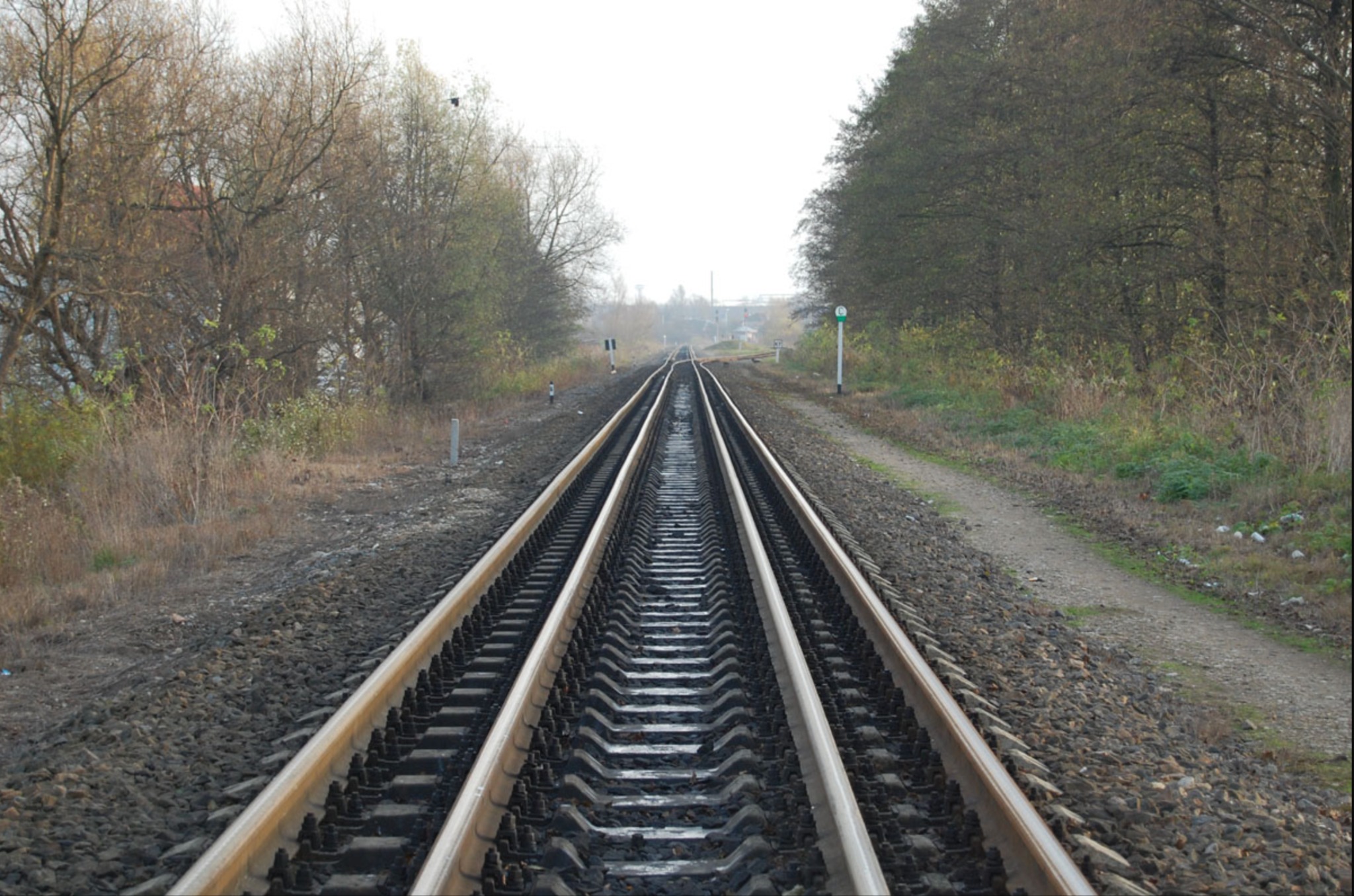 Perspektywa torów kolejowych w jesiennej scenerii, z widoczną zieloną tablicą sygnalizacyjną i zaroślami po bokach, prowadzących w kierunku odległego horyzontu.