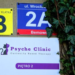 PsycheClinic - Profesjonalna Psychoterapia i Wsparcie Psychologiczne Psycholog Warszawa Bemowo - Tabliczka z adresem 'ul. Wrocław 2A Bemowo', wejście 'B', szyld 'Psyche Clinic' z symbolem kota, informacja 'Piętro 2', całość częściowo zakryta bluszczem.