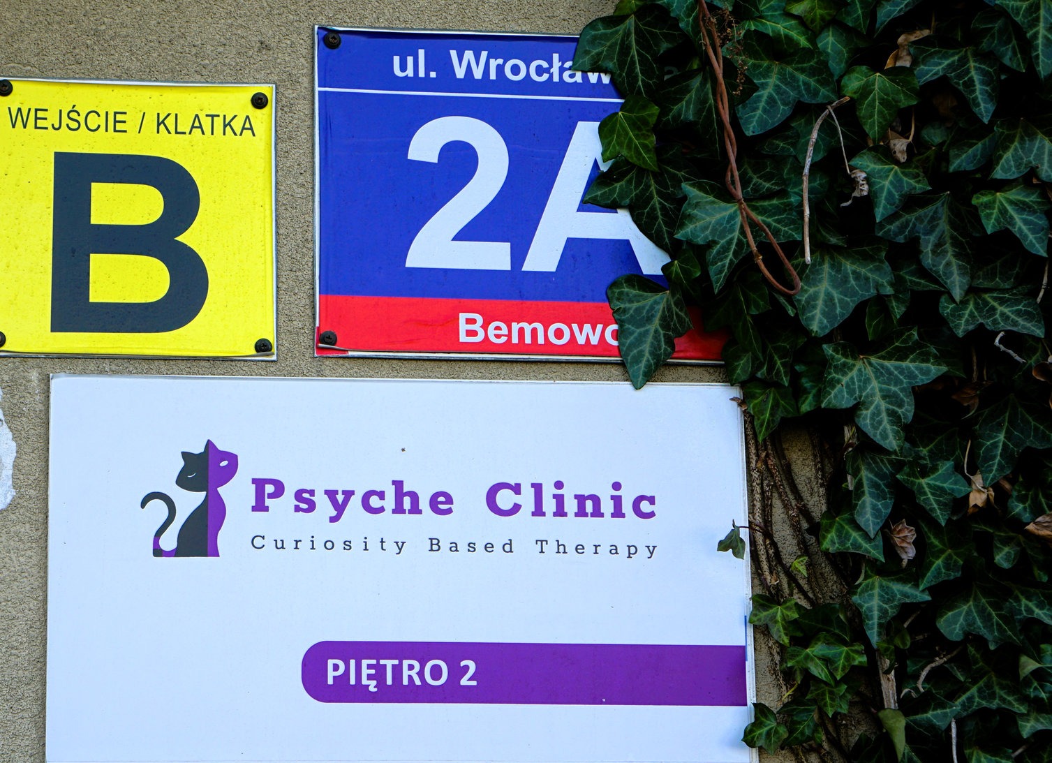 Tabliczka z adresem 'ul. Wrocław 2A Bemowo', wejście 'B', szyld 'Psyche Clinic' z symbolem kota, informacja 'Piętro 2', całość częściowo zakryta bluszczem.