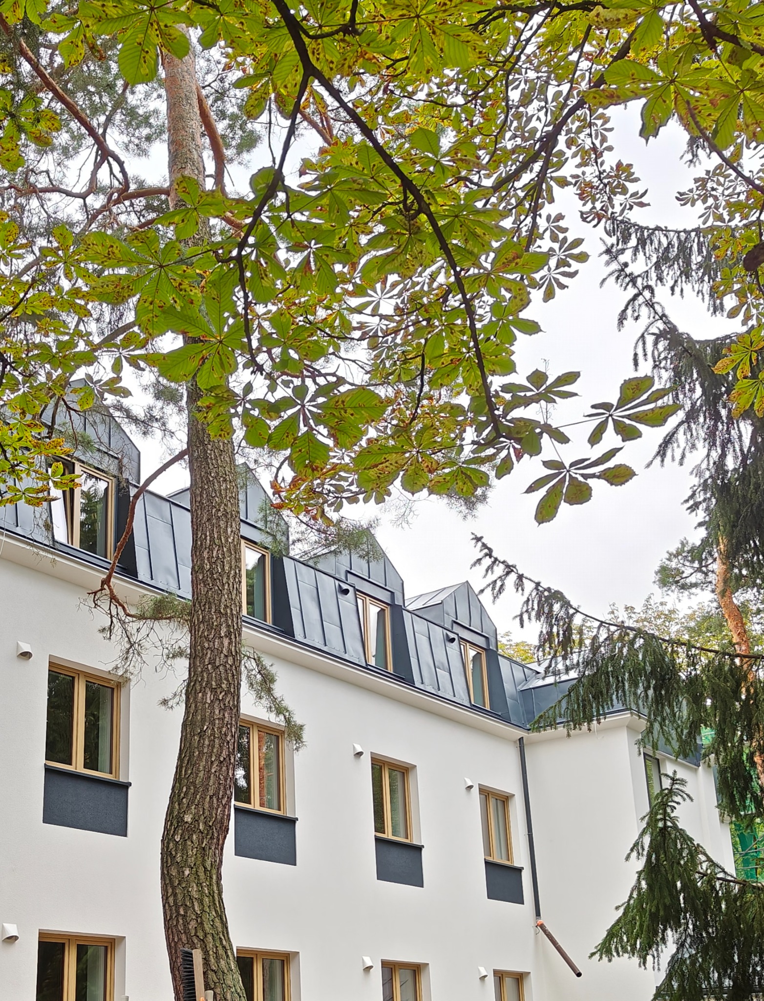 Biała elewacja budynku z szarym dachem, widoczna spod drzew z zielonymi liśćmi. Okna z drewnianą ramą. Nowoczesny styl architektoniczny. Wykończona fasada.