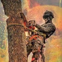 Mateusz Prośniewski - Ścinka Drzew Obrowo