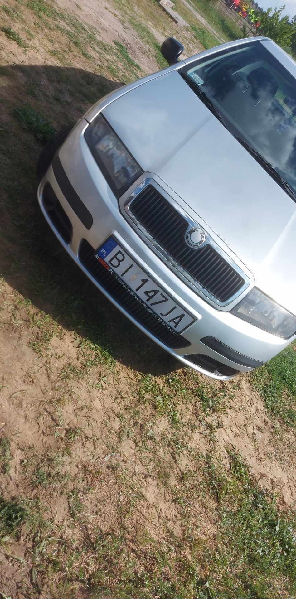 Srebrna Skoda Fabia z polską tablicą rejestracyjną BI 147JA, zaparkowana na trawiastym terenie. Widok z przodu, lekko z góry. Widoczne detale grilla i reflektorów.