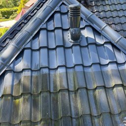 Volodymyr Stasyuk - Częściowo umyta, ciemna dachówka z kominem wentylacyjnym. Górna część dachu jest czysta, dolna pokryta mchem. W tle widoczny dom i drzewa.