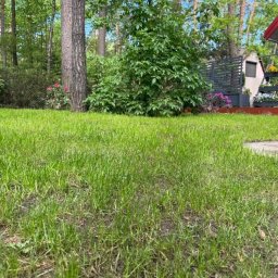 Volodymyr Stasyuk - Zadbany trawnik z niską trawą, drzewami i roślinami ozdobnymi w tle, przy domu z drewnianym tarasem i kwiatami w donicach.