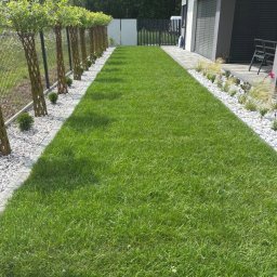 Volodymyr Stasyuk - Zadbany trawnik z równo przystrzyżoną trawą, obrzeża z białych kamieni i ozdobne drzewka wzdłuż ogrodzenia. Widok na nowoczesny dom z szarymi roletami.