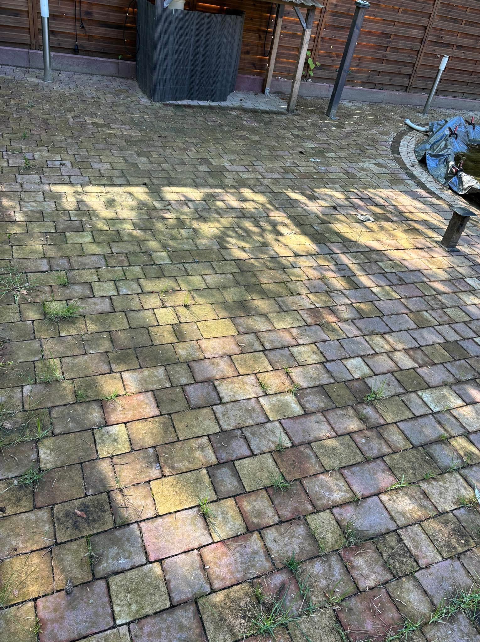Zarośnięta kostka brukowa na podwórku, z widocznymi plamami i mchem, oświetlona promieniami słońca. W tle drewniane ogrodzenie i fragment oczka wodnego.