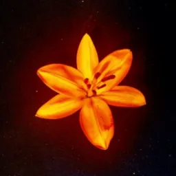 Pomarańczowa lilia na ciemnym tle, delikatnie oświetlona, z widocznymi pręcikami i płatkami. Fotografia z bliska, ukazująca detale kwiatu.