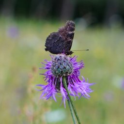 Fotograf ślubny Szczytno 1