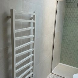 Wegner construction - Biały grzejnik drabinkowy na tle szarej, płytkowej ściany w łazience z kabiną prysznicową z zielonymi, pionowymi płytkami. Nowoczesny design.