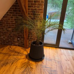 Wegner construction - Jasny parkiet w skosach poddasza z ceglaną ścianą i palmą w donicy, widok na zewnątrz przez okno. Naturalne światło podkreśla fakturę drewna i cegły.