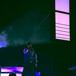 Nel Maczkiewicz - Artysta Sobel