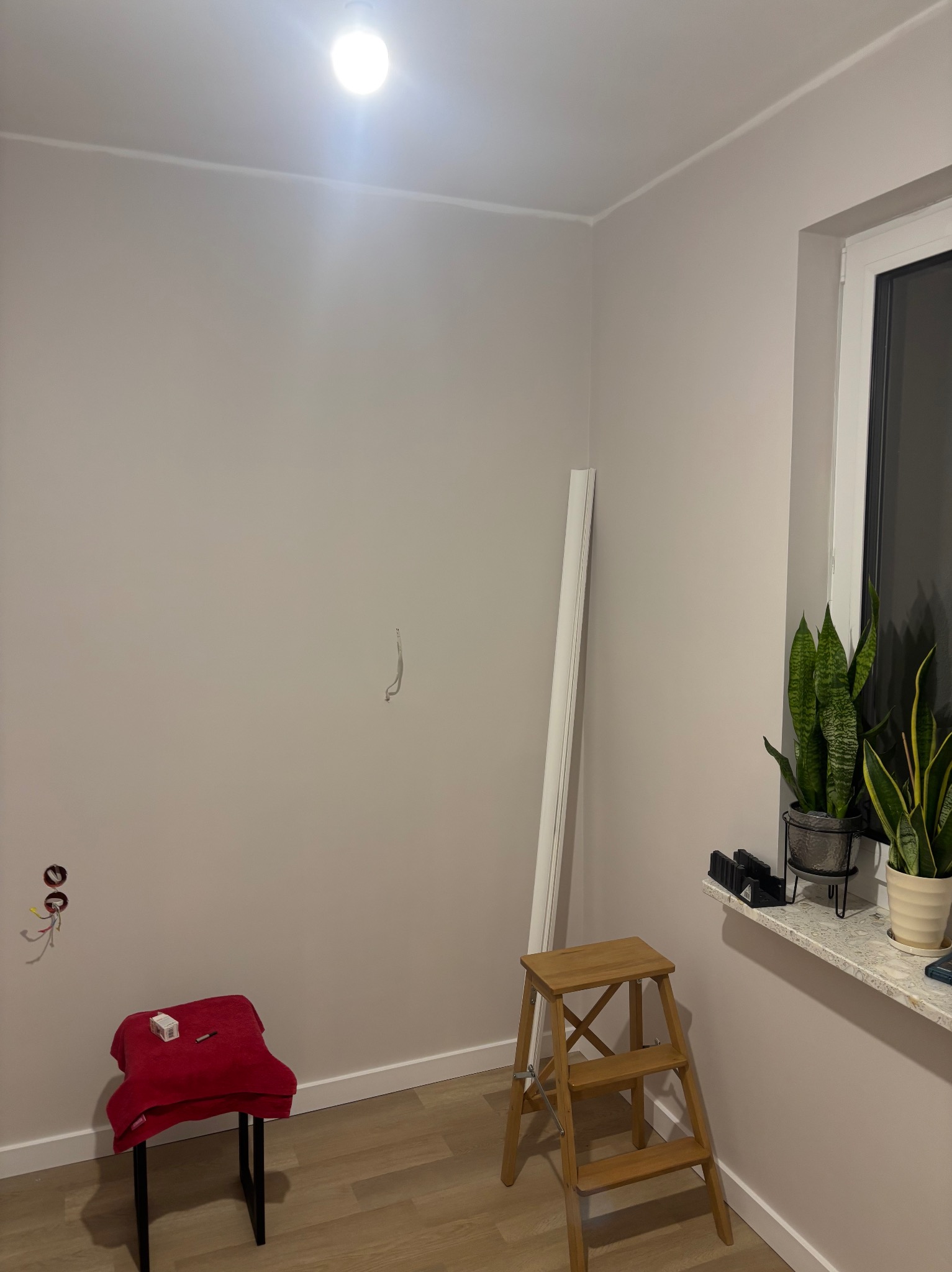 Pokój w trakcie prac wykończeniowych: ściany pomalowane na szaro, listwa przypodłogowa, drabinka, gniazdka elektryczne z wystającymi przewodami i roślina doniczkowa.