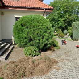 Przed domem Radzyń Podlaski